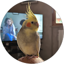 Antonio Iania profile picture